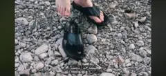 oursローズ着用 PRADA プラダ サンダル ビーチサンダル 靴 本革 - メルカリ