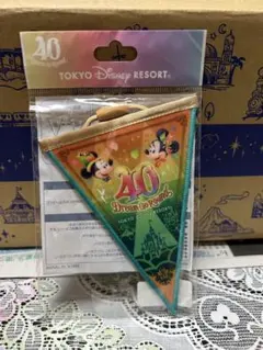 ディズニー　40周年　ドリームガーランド①