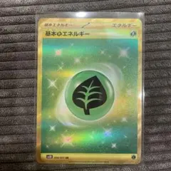 UR基本草エネルギー　美品