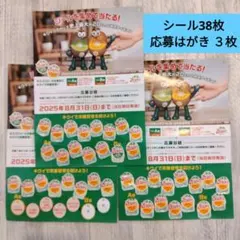 ゼスプリシール　38枚　ハガキ付き　キウイブラザーズ 応募券　懸賞