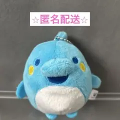 たまごっち ボールチェーン付きぬいぐるみ　いるかっち　プライズ　vol.2