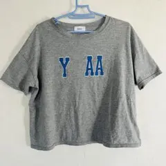 Item thumbnail for item a2be4f3b-26b4-4450-9283-4bc8a107d047