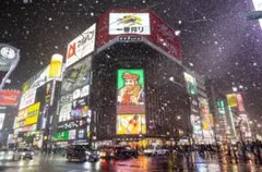 北海道 すすきの 写真