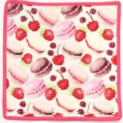 新品未使用 フェイラー ハンカチ 25×25 マカロンのサムネイル