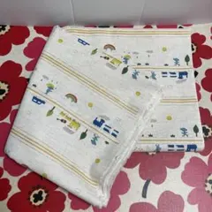 Item thumbnail for item 0484b956-6e56-4c89-ba31-0becfdf6e729