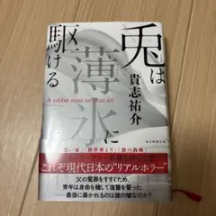 兎は薄氷に駆ける