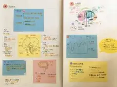 看護学生　看護師国家試験　看護付箋ノート　第二弾　解剖生理学