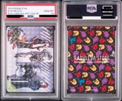PSA10 シキジカ メブキジカ 6連番 - メルカリ