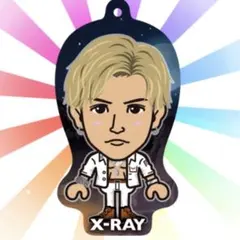 【レア】三代目JSB 岩田剛典　X-RAY 日本製 クリーナー