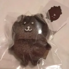 ナガノキャラクターズ カラーなナガノのくまマスコット ダークブラウン