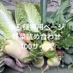 ゆら様専用ページ 野菜詰め合わせ100サイズ