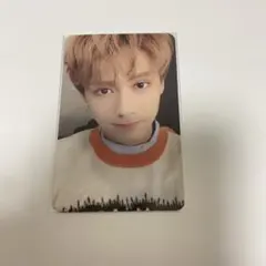 seventeen director's cut ジュン　plot トレカ