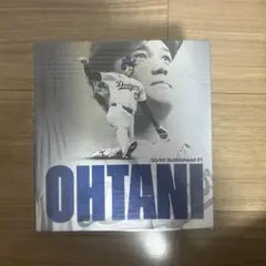 ドジャース 大谷翔平 50/50 ホームラン ボブルヘッド 来場者限定 冊子