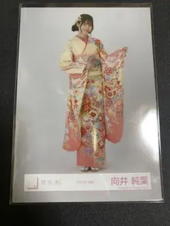 櫻坂46 生写真　2025年　振袖衣装 向井純葉　ヒキ