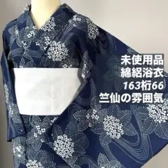 2026年最新】竺仙 綿絽の人気アイテム - メルカリ