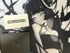 WALLHACK SP004 faith yume