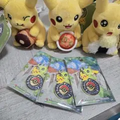 ポケモンセンターナゴヤ ぬいぐるみセレビィ ロゴ ピンバッジ セット ポケモンセンターナゴヤ ぬいぐるみセレビィ ロゴ ピンバッジ セット