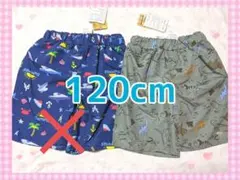 新品未使用　タグ付き　サーフパンツ　120　恐竜　男の子　水着
