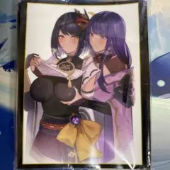 hobby販売/コメントは、お気軽に!!様 リクエスト 2点 まとめ商品