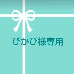 ぴかぴ様。専用ページです！