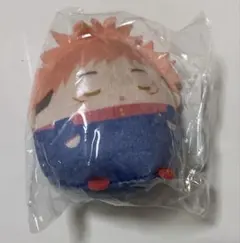 呪術廻戦　アニメイトくじ　ふわコロりん　E賞　虎杖悠仁　ぬいくじ