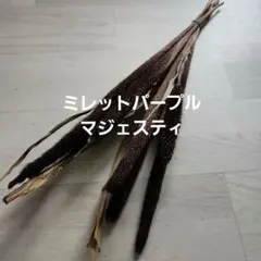 Item thumbnail for item acb53ada-6a41-466a-bb7f-243d45ea3ffe