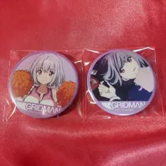 新条アカネ 缶バッジ 2点 ②