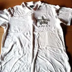 Item thumbnail for item 58c502de-f349-4671-a114-6fe9220529c9