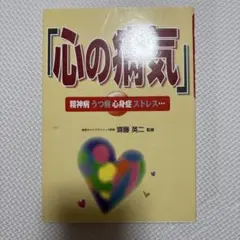 心の病気 : 精神病うつ病心身症ストレス…