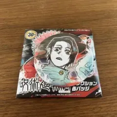 呪術廻戦 乙骨憂太 まとめ 缶バッジ キーホルダー ぱしゃこれ まるくじ