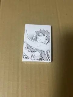 2025年最新】ハイキュー 思い出スナップフォトカード 未開封の