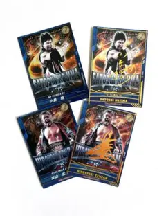 新日本プロレス 天山広吉・小島聡デビュー20周年記念DVD-BOX - メルカリ