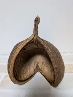 ブッダナッツ♡オーダー専用ページ♬.*゜ ブッダナッツ♡オーダー専用ページ♬.*゜