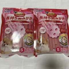 長持ち歯みがきガムS イチゴ味