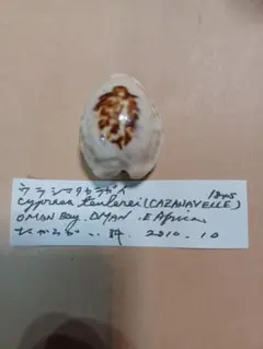 Item thumbnail for item 467d30d5-a66c-498c-bb0a-14a5f6f0b53b