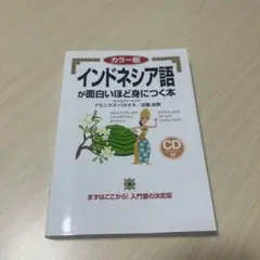 インドネシア語が面白いほど身につく本
