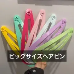 韓国雑貨 ビッグサイズ ヘアピン ヘアクリップ インテリア ドデカピン XG着用