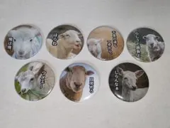 Item thumbnail for item 8bdfb9e6-9119-445e-ac01-4144ef408493