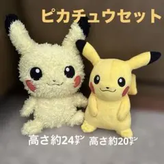 ポケモン ピカチュウぬいぐるみセット