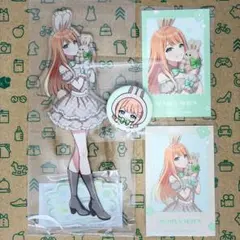 紫雲清夏 4点セット LadyRabbit/うさぐるみ GiGOコラボ