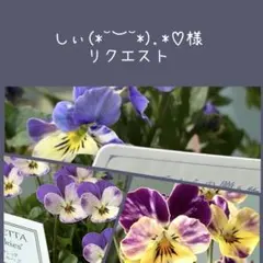 しぃ(⁠*⁠˘⁠︶⁠˘⁠*⁠)⁠.*⁠♡様　リクエスト　おまとめ3点