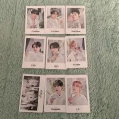 straykids MANIAC 2nd world tour カードセット