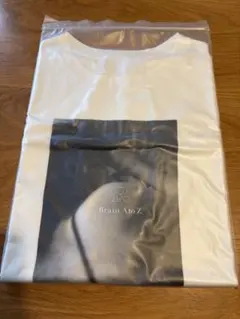 梨花　Tシャツ　AKNIR アクニー　Brain Ato Z Tシャツ
