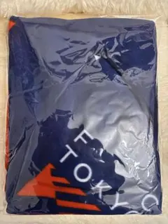 限定品FC TOKYO ポンチョ　クリアファイル付12/6 アルビレックス新潟戦