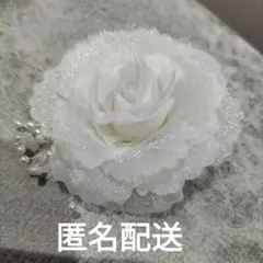 Item thumbnail for item 0652bdd0-aaab-40d3-a046-57c474c2191a