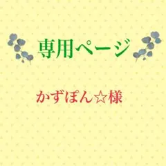 こちらは専用ページになります