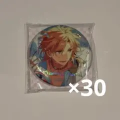 あんスタ テーマスカウト 缶バッジ 2023 WINTER Idol 嵐 30個 - メルカリ