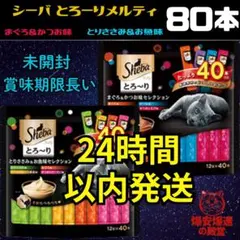 Item thumbnail for item 17c9ffb8-e891-4f35-b4e9-4d6b2ea46fe9