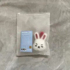 SEVENTEEN MINITEEN フェイスキーリング エスクプス