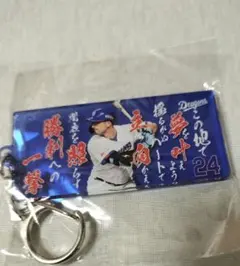 中日ドラゴンズ 選手応援歌アクリルキーホルダー ボスラー選手　背番号24